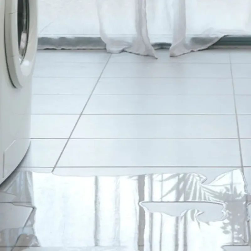 Appliance Leak Cleanup in Sweeny, TX
