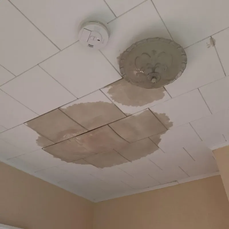 Ceiling Water Damage Repair in Sweeny, TX