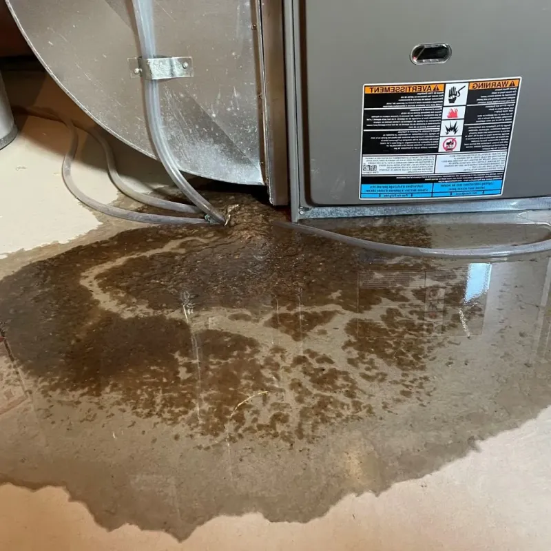 Pipe Burst and Leak Restoration in Sweeny, TX