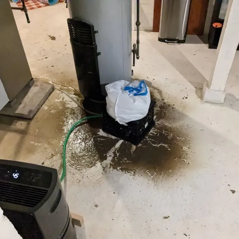 Sewage Backup Cleanup Service in Sweeny, TX
